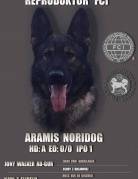 ARAMIS Noridog (FCI)