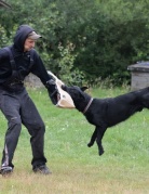 IWAN Mój Kaprys (FCI)