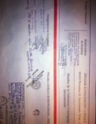 IWAN Mój Kaprys (FCI)