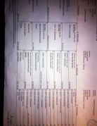 IWAN Mój Kaprys (FCI)