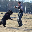 DOROSŁE CZARNIDŁA Z MIOTU C