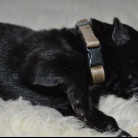 EGOIST Wilczy Mszar (UCI)