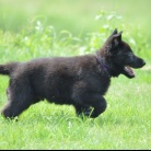 ENERGY Wilczy Mszar (UCI)